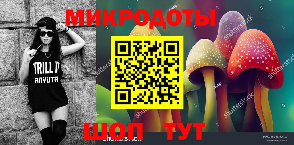 Унеча  Псилоцибиновые грибы Magic Shrooms  Вход с VPN  где купить наркоту  Псилоцибиновые грибы Psilocybe 
